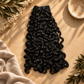Selah Curl - Burmese Curly
